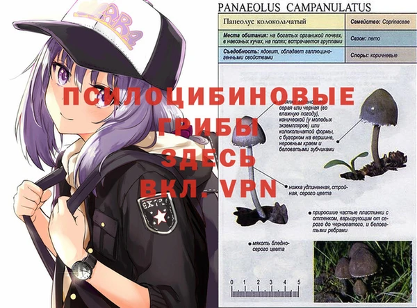 прущий лед Алексеевка