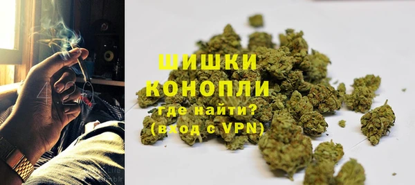 прущие крисы Апатиты