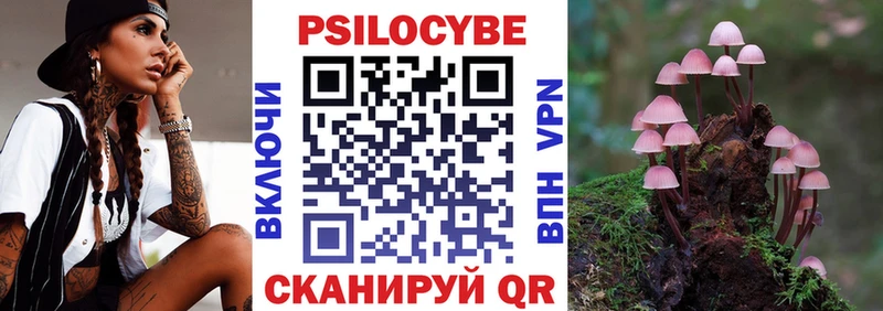 ОМГ ОМГ зеркало  Амурск  Галлюциногенные грибы MAGIC MUSHROOMS 
