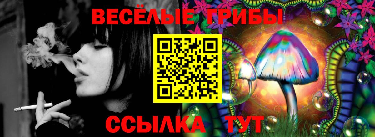 Амурск  Галлюциногенные грибы Magic Shrooms  Вход с VPN  Галлюциногенные грибы ЛСД 